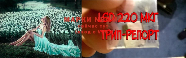 индика Алзамай