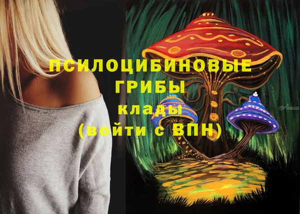 индика Алзамай
