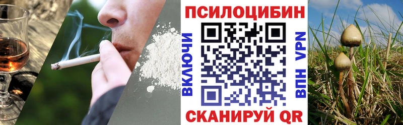 Галлюциногенные грибы Psilocybine cubensis  darknet какой сайт  Грайворон  дарнет шоп 